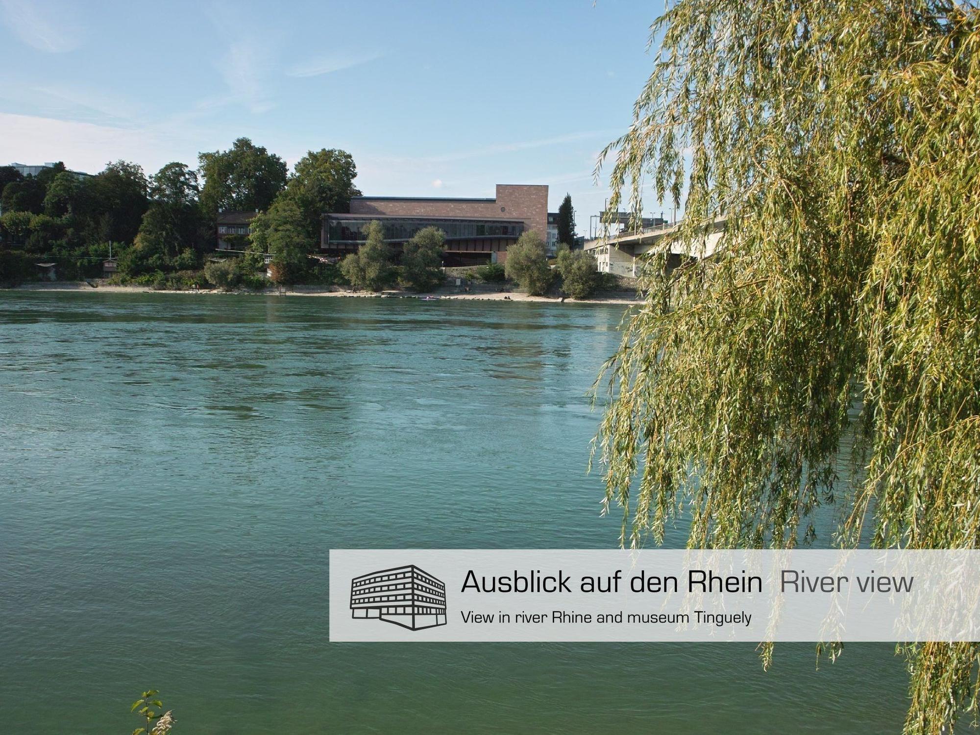 Dasbreitehotel Am Rhein Βασιλεία Εξωτερικό φωτογραφία